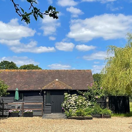 Maplehurst Barn Stables Staplehurst Exteriör bild
