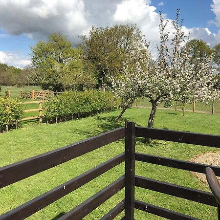 Maplehurst Barn Stables Staplehurst Exteriör bild