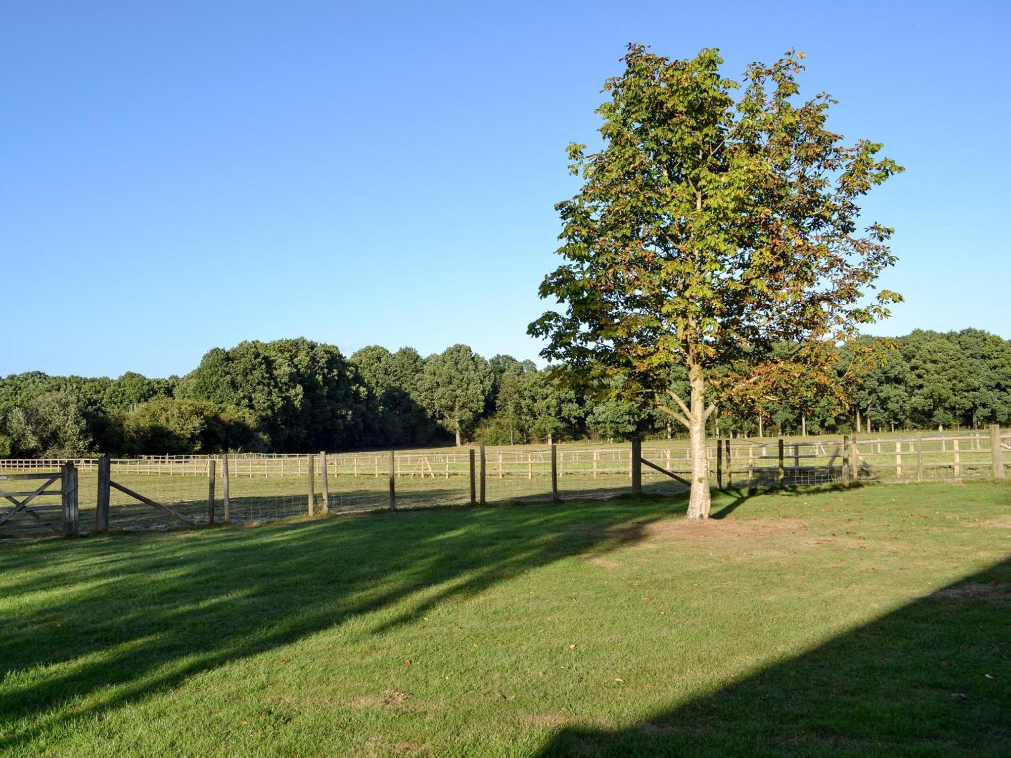 Maplehurst Barn Stables Staplehurst Exteriör bild
