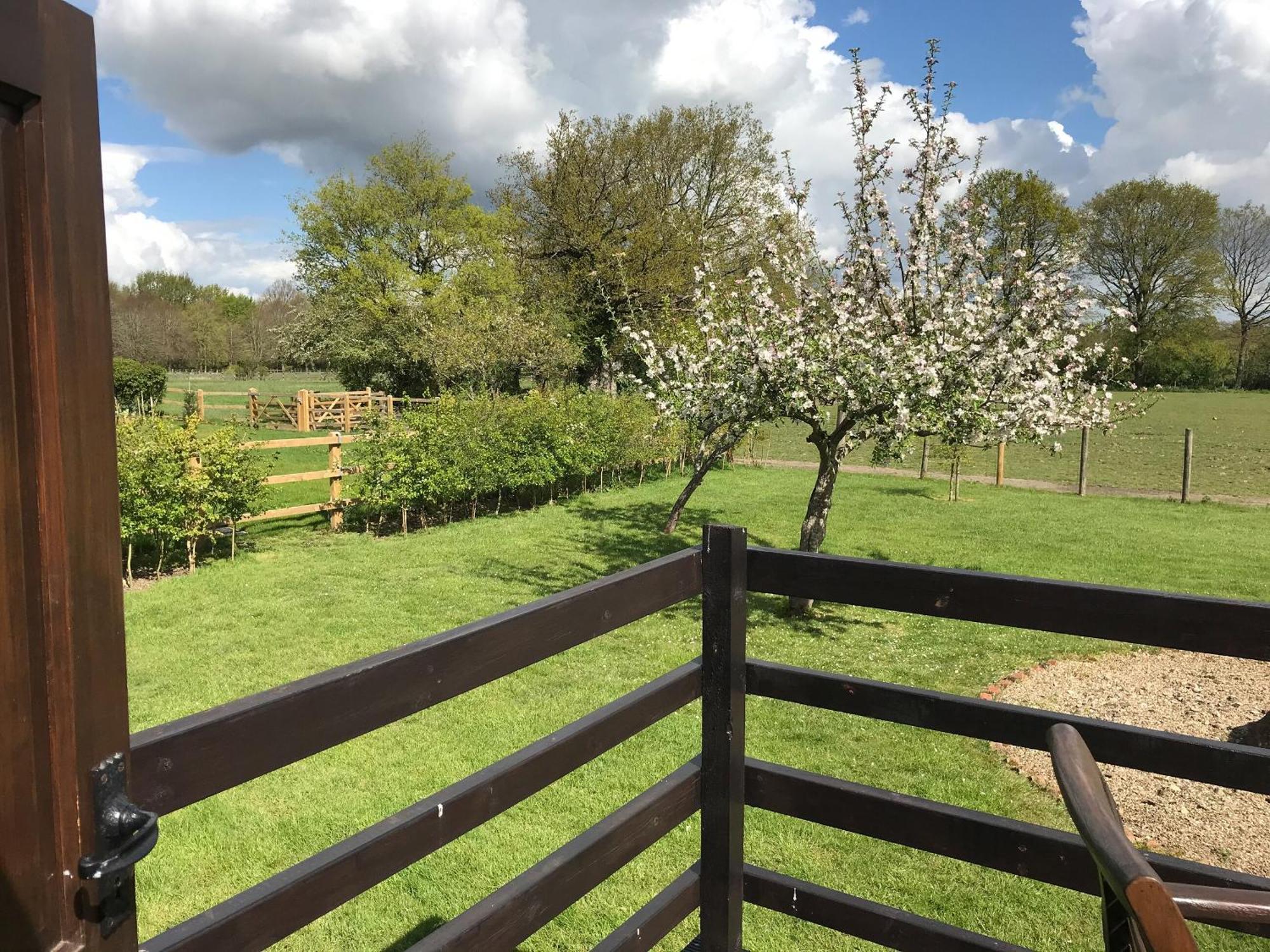 Maplehurst Barn Stables Staplehurst Exteriör bild